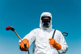 Best Residential Pest Control  in Elwood, UT